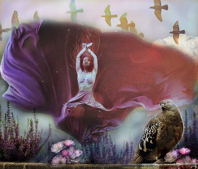 的争议无点 的争议无点