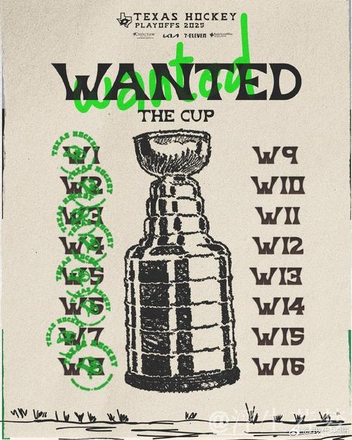 常规赛对决：佛罗里达黑豹迎战达拉斯星